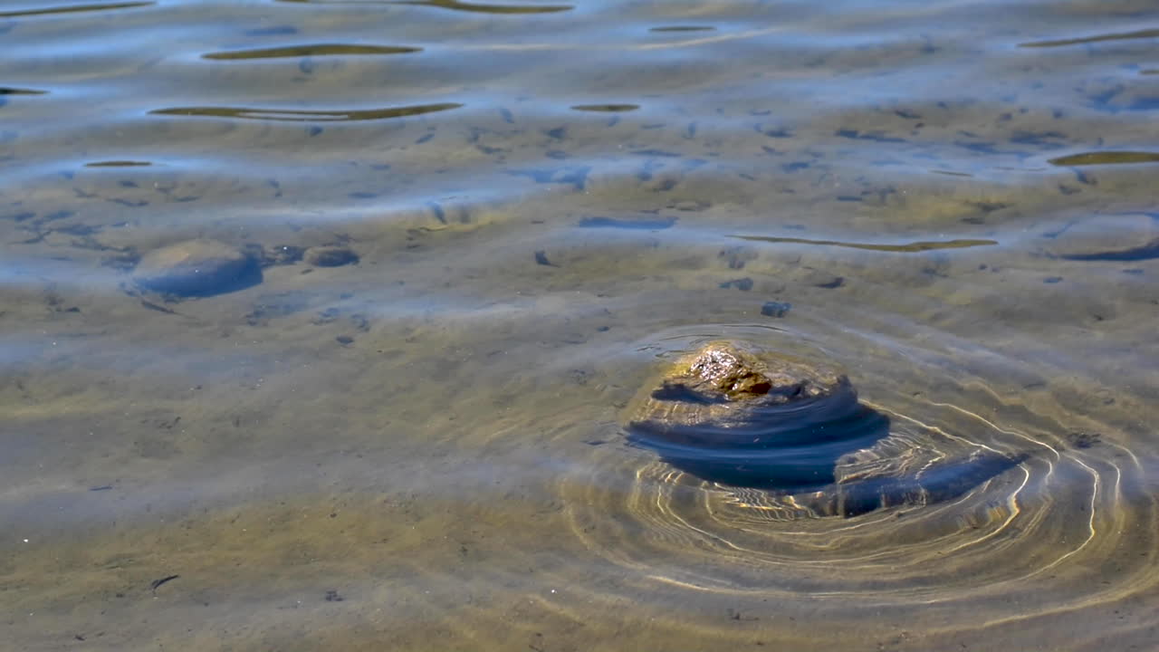 하늘의 파란색 반사와 함께 호수의 바위에 부드러운 물 파동