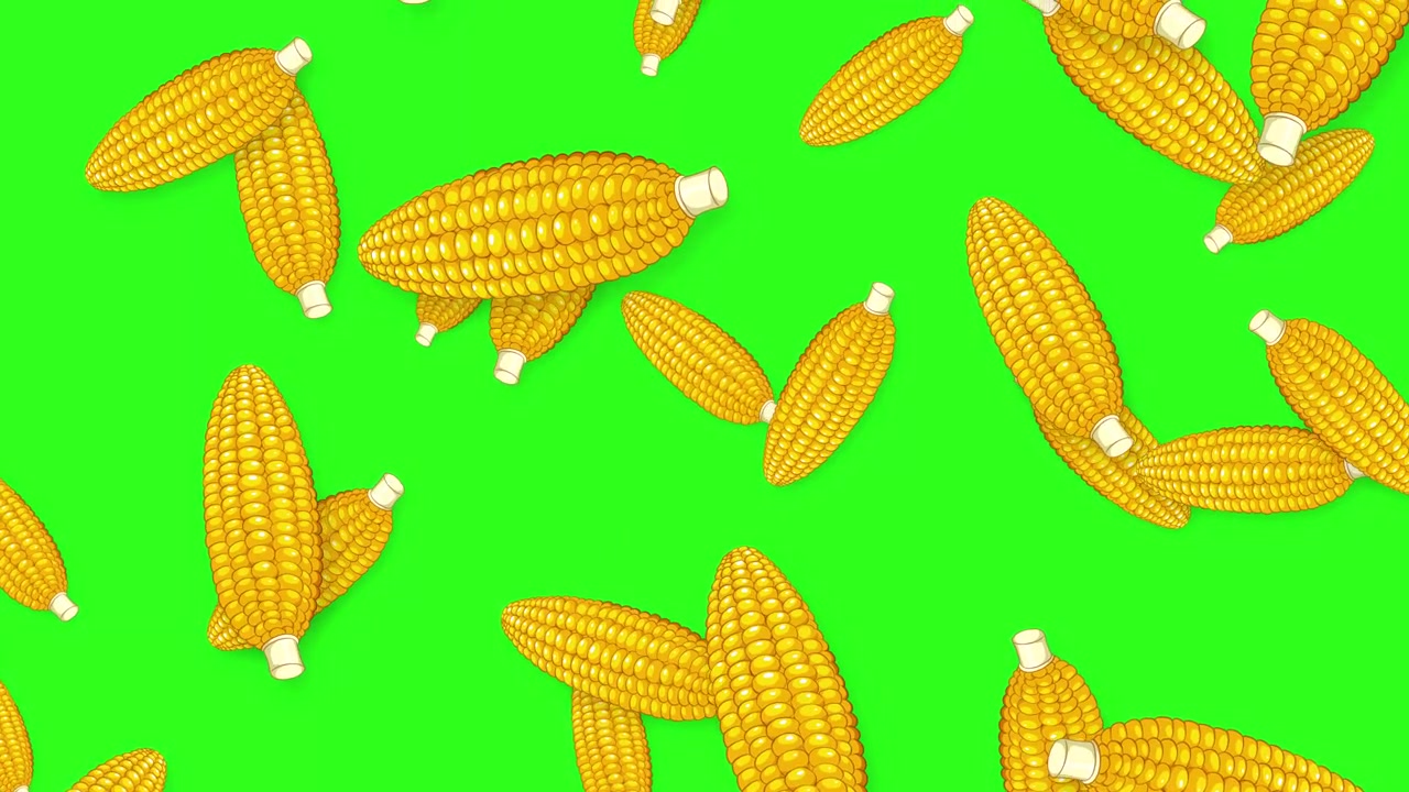 Stylized yellow corn cobs fall and rotate against a vibrant green screen background.