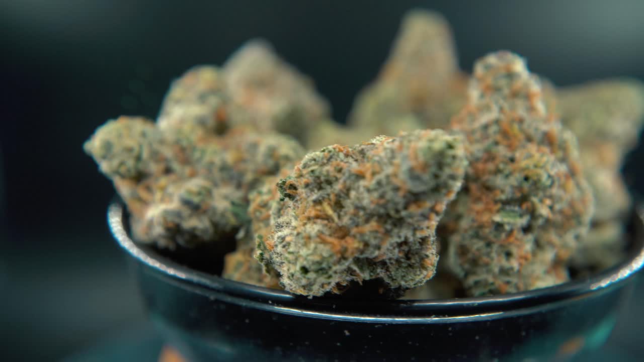 대마초 식물, 하이브리드 오렌지 품종, 사티바, 마리화나 꽃, 회전 스탠드, 느린 동작, 4k 비디오, 스튜디오 조명