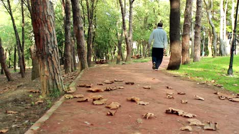 Caminando-Bosque-De-Otoño-Hombre-Solitario-5