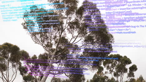 animación del procesamiento de datos sobre vista de ángulo bajo de árboles contra un cielo despejado