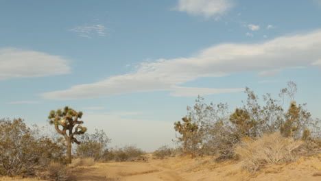 Desierto-Durante-El-Día,-Sendero-Para-Caminar