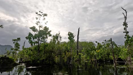 serene kayak journey in lush krabi landscape