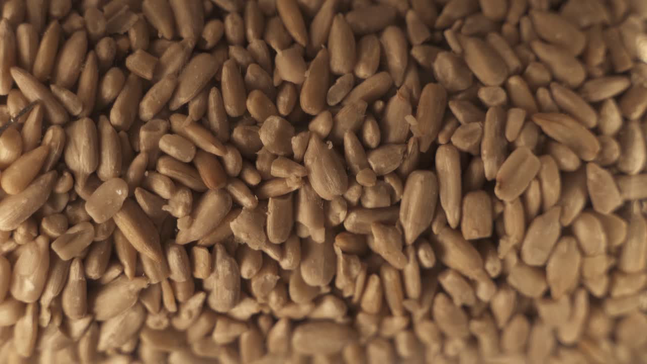 턴테이블 플랫폼에서 회전하는 많은 해바라기 씨앗을 보여주는 클로즈업 샷