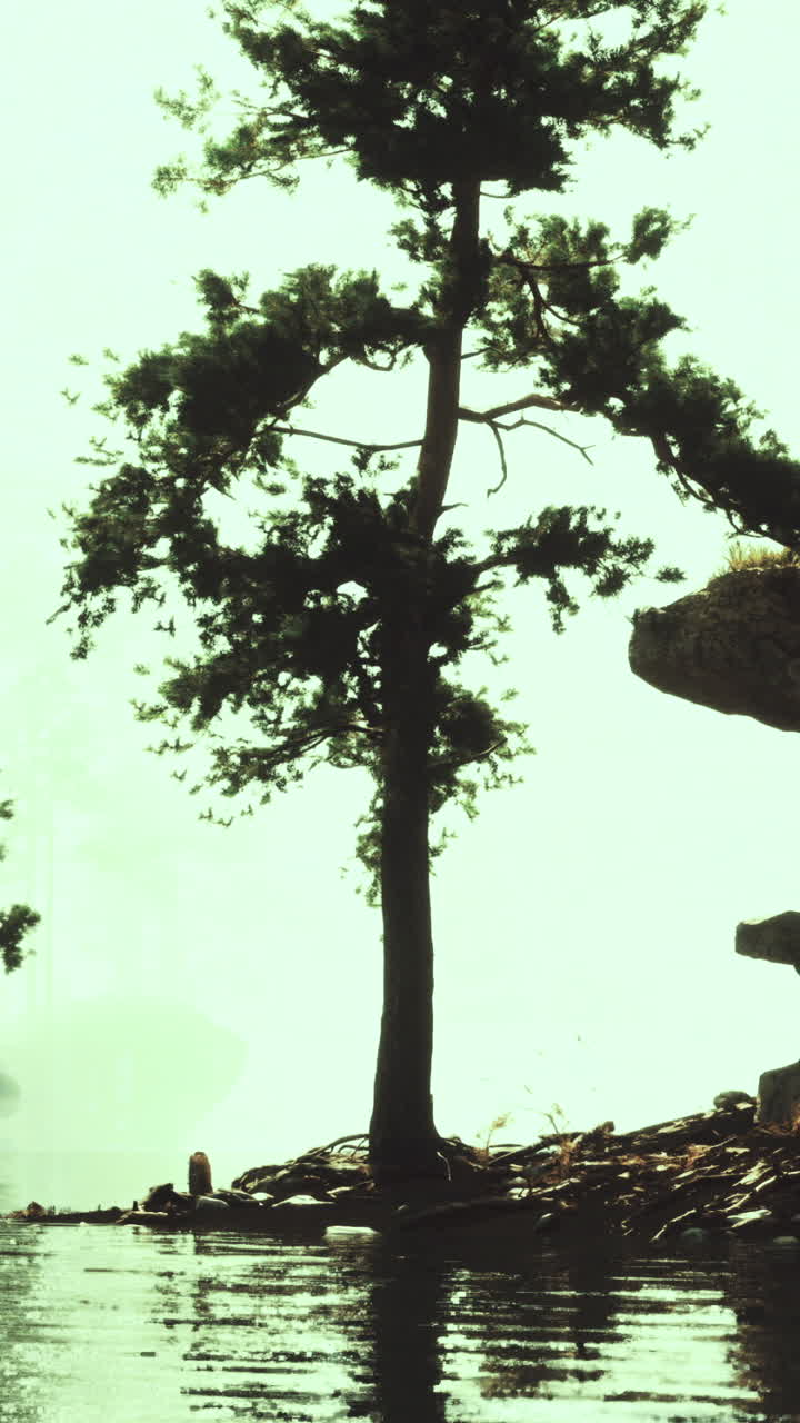 Tranquil lakeside view with silhouetted trees and serene waters at dusk