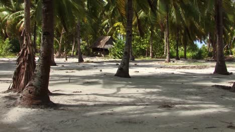 Small-wooden-hut-and-palm-trees-on-Fanning-Island,-Republic-of-Kiribati