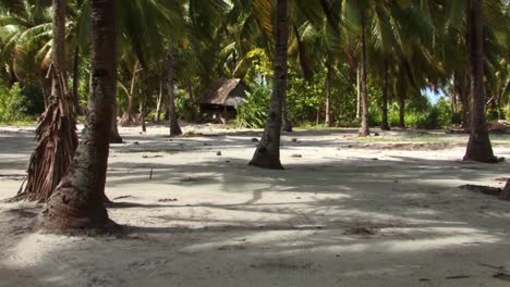 small wooden hut and palm trees on fanning island, republic of kiribati