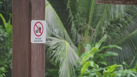 no food and drinks sign on a wooden pole in a lush green environment