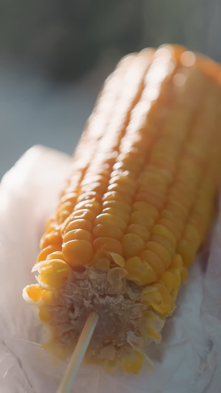 primer plano de una persona sosteniendo y girando maíz caliente en un palo con vapor que se eleva en un entorno al aire libre fresco, centrarse en la textura del maíz, fondo borroso, bocadillo caluroso en la calle en clima frío