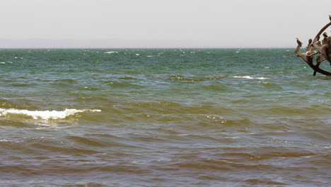 SLOW-MOTION-Historic-PS-Ozone-Paddle-Steamer-Wreckage,-Australia