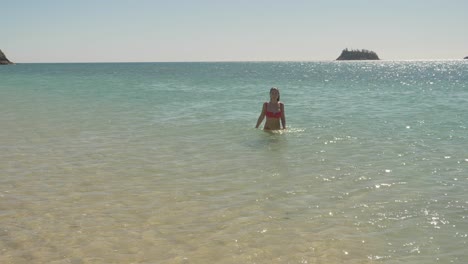 sexy female tourist emerge on glistening water beach at langford island, whitsundays in queensland, australia