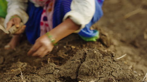 hands planting seeds in soil