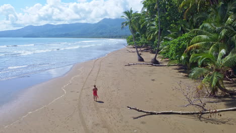 woman walking on tropical beach during sunny day in costa rica