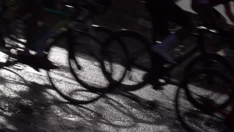 the cape town cycle tour is the biggest cycle race in the world