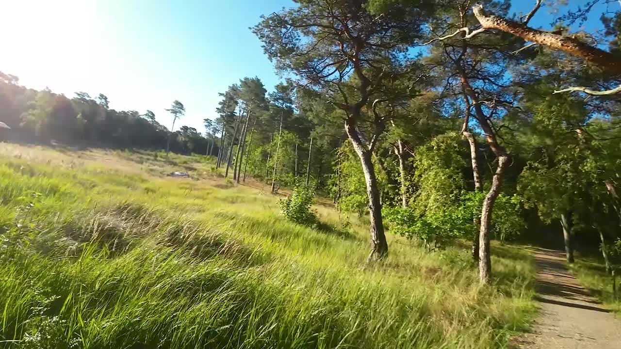 cacerola lenta aérea a la izquierda de un camino vacío sobre hierba alta con grandes graneros en el fondo en un día soleado