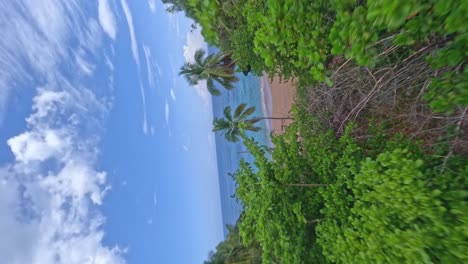 drone fpv de la orilla de playa onda , samana, república dominicana - toma vertical