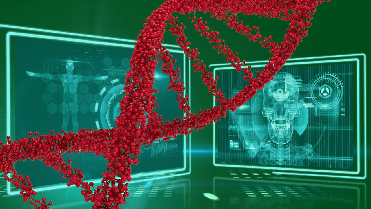 DNA 더블 헬릭스