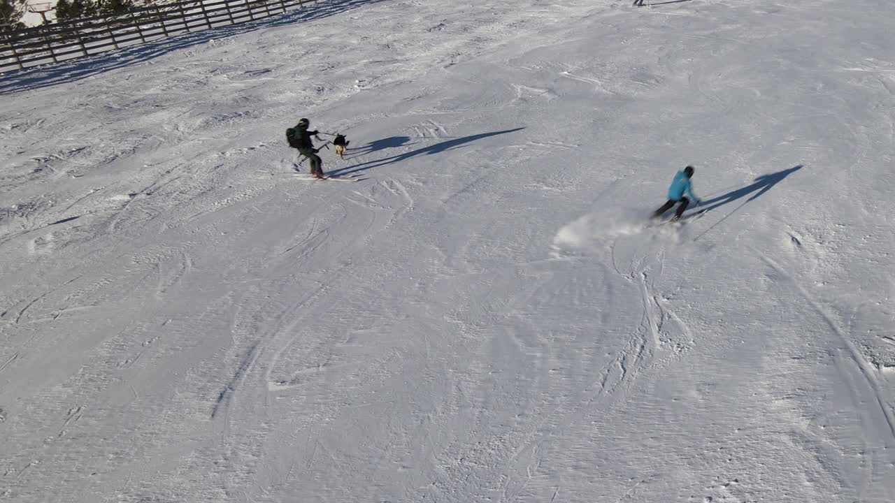 High view of a dog at a ski site while its owner holds his leash and goes skiing with people passing by, in Navacerrada, Madrid, Spain