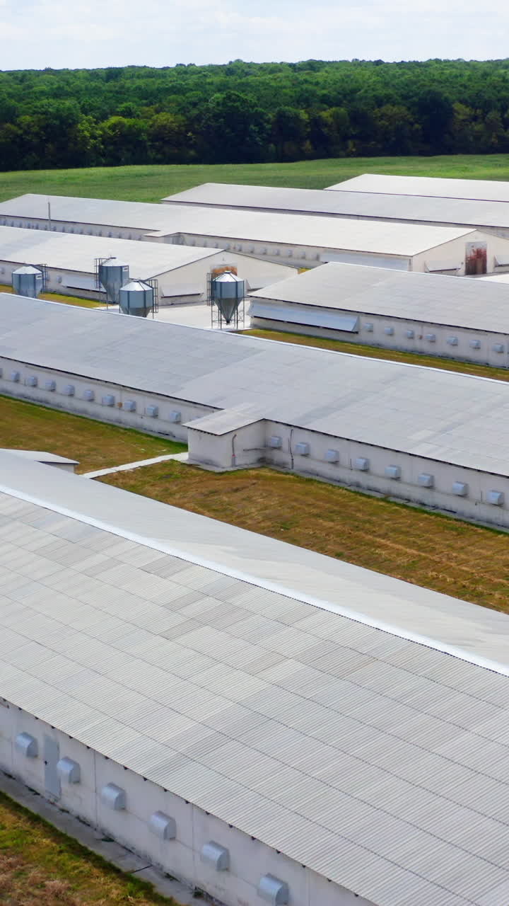 Large farm near green nature. Modern farm buildings on a meadow. Agricultural plant among clean environment. Top view. Vertical video