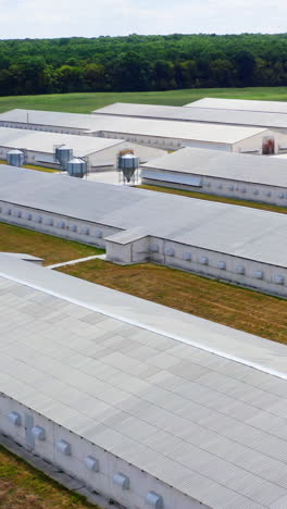 large farm near green nature. modern farm buildings on a meadow. agricultural plant among clean environment. top view. vertical video