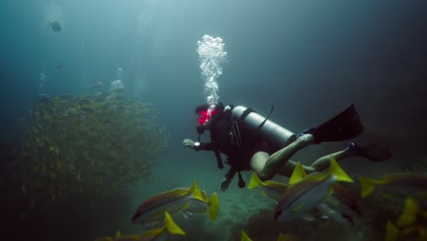scuba diver swims through a large school of yellowtail snapper underwater