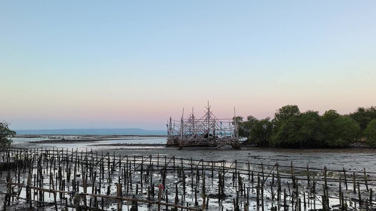 Traditionel bambusfiskestruktur i mangrovemunding ved solnedgang