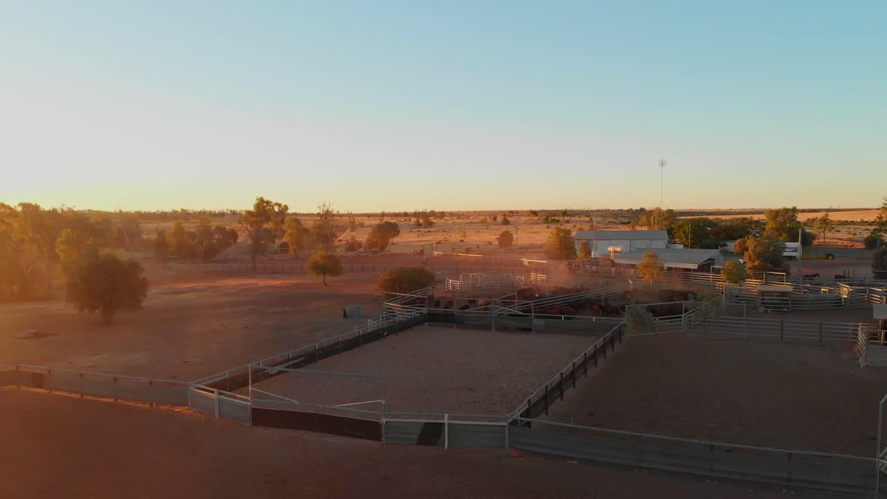 Kvægfolde i outbacken ved solnedgang i Emerald, Queensland, Australien