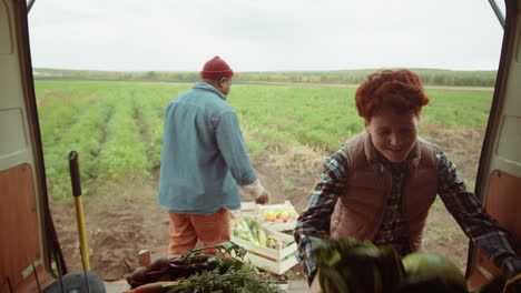 cheerful multiethnic farmers loading harvest in van