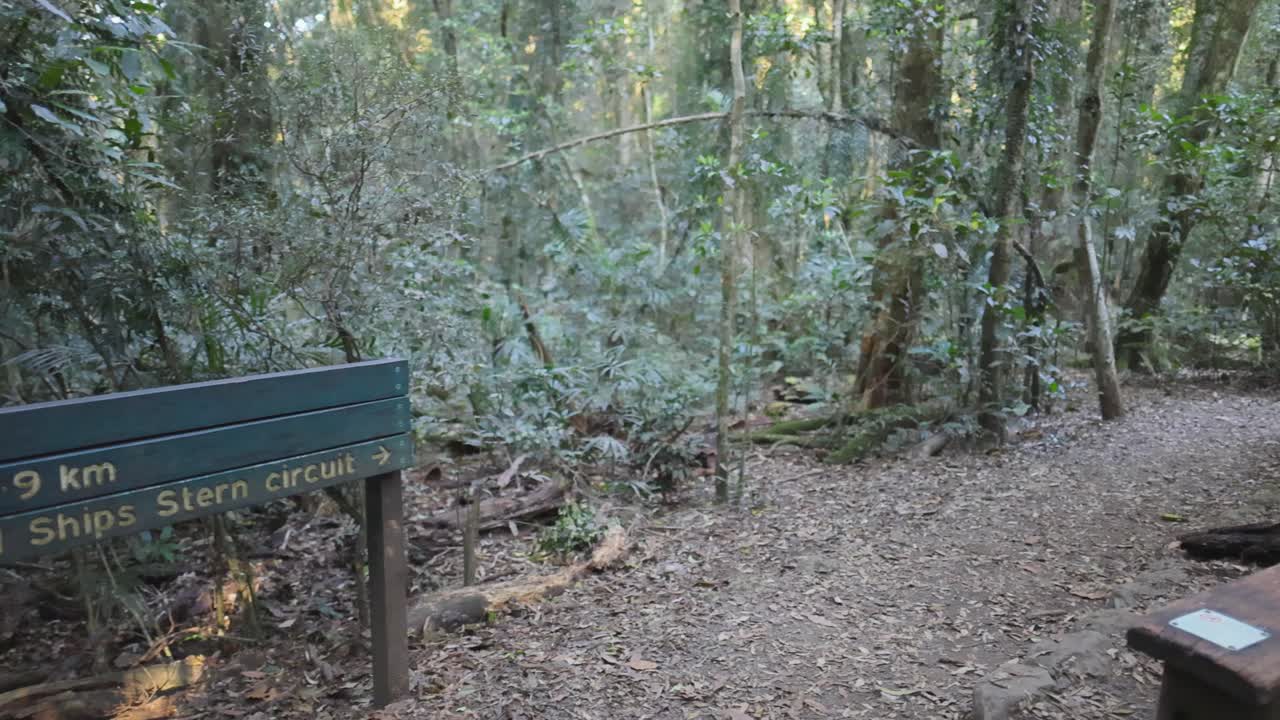 울창 한 숲 에서 국경 경로 를 표시 하는 표지판