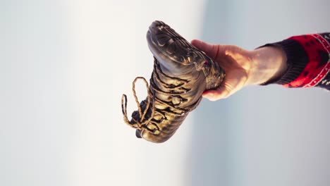 - verticale mannelijke hand met zwarte lederen wandelschoen in het zonlicht