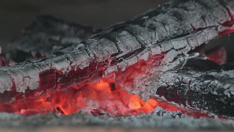 primer plano de troncos de madera quemándose