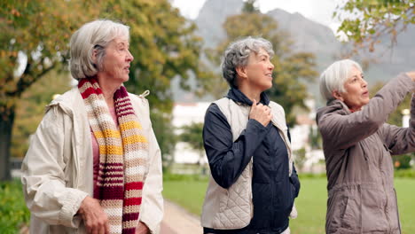 senior friends, talking and walking together