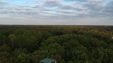 cabaña de la torre de vigilancia del bosque y azotea en vista aérea cercana