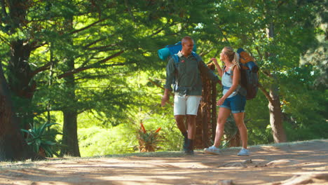 pareja con mochilas dándose el uno al otro cinco en vacaciones caminando por el campo juntos