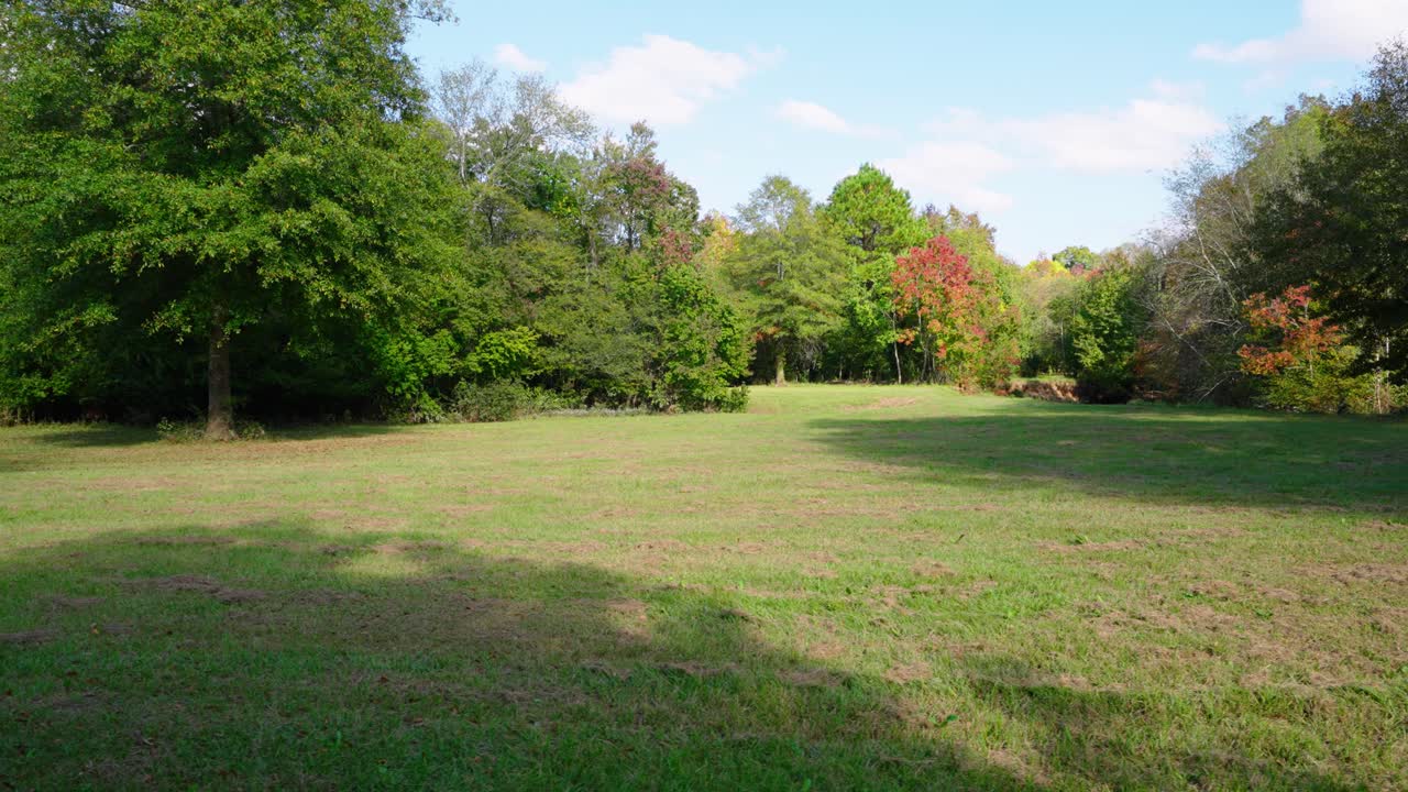 An open green field bordered by dense trees with hints of autumn colors. The grassy clearing under a sunny sky creates a peaceful and inviting natural landscape