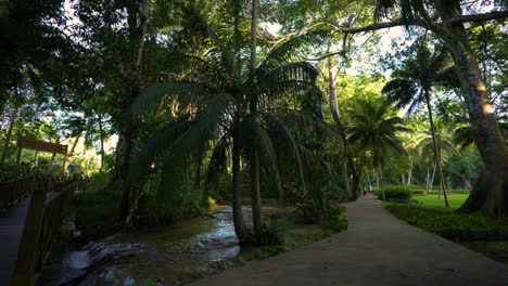 jamaica | ocho rios coast | dunn’s river falls & park | tranquility garden.