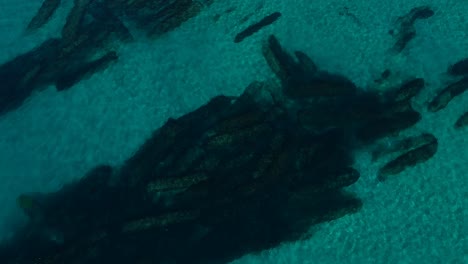 Aerial-view-of-an-artificial-reef-created-to-protect-the-coastline-of-the-Gold-Coast-Australia