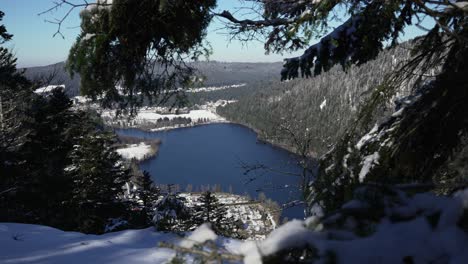 wide shot through snowy alpine forest trees with view on the longemer lake in vosges, france