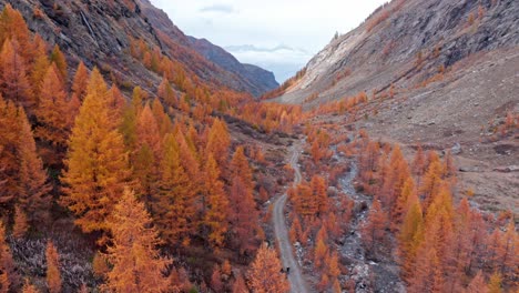 Drone-flight-down-Aosta-Valley-in-Italy-with-shocking-orange-fall-tree-foliage