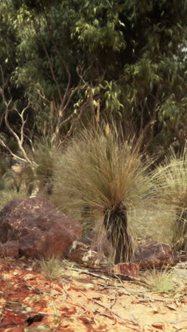 a grassy bush with a rock in the foreground