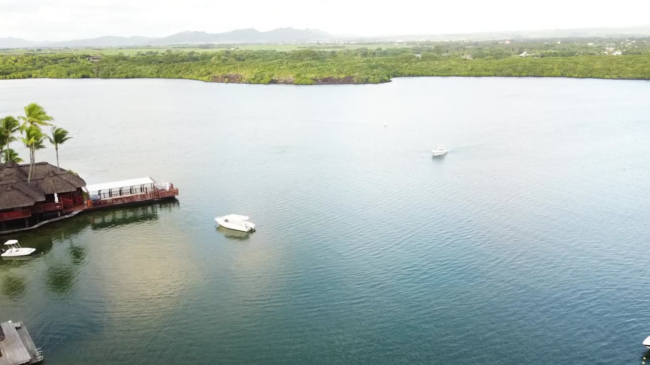 vista aérea de pájaro sobre palmeras hacia el horizonte de mauricio