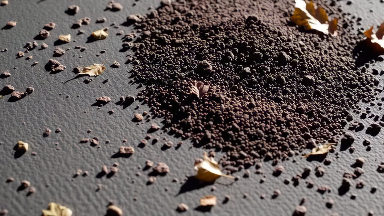 Pile of Dirt with Leaves and Stones