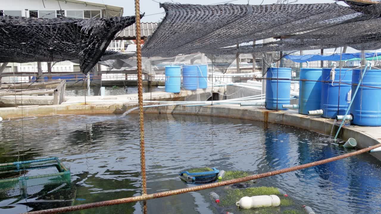 Aerial guide to sustainable aquaculture farming techniques and coastal water management strategies