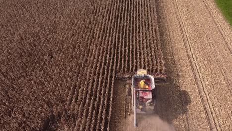 Combine-La-Cosecha-De-Maíz-En-El-Sureste-De-Michigan-Cerca-De-Carlton-Michigan-En-Un-Día-Soleado-De-Verano---Toma-Aérea-De-Drones