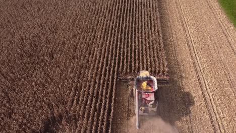 colheita combinada de milho no sudeste de michigan, perto de carlton michigan, em um dia ensolarado de verão - foto aérea de drone