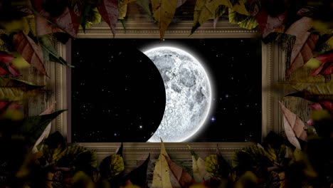 animation of moon eclipse in leaf frame