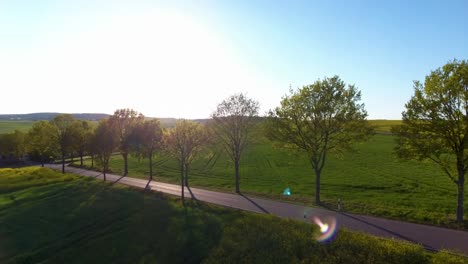 Drone-flight-around-tree-line-at-sunset-with-lense-flare