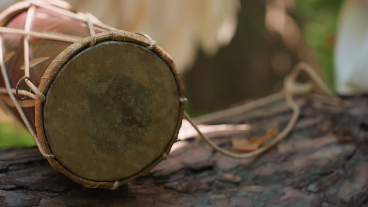 Close up of traditional local drum dropped on forest log with blurred background, sunlight gently illuminating textured bark and warm earthy tones