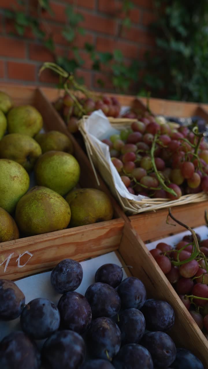 exhibición de frutas frescas en un mercado