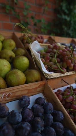 fresh fruit display at a market